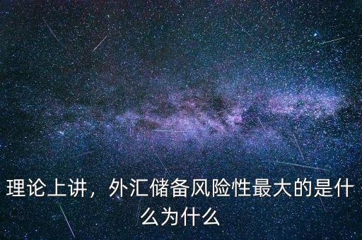 理論上講，外匯儲(chǔ)備風(fēng)險(xiǎn)性最大的是什么為什么
