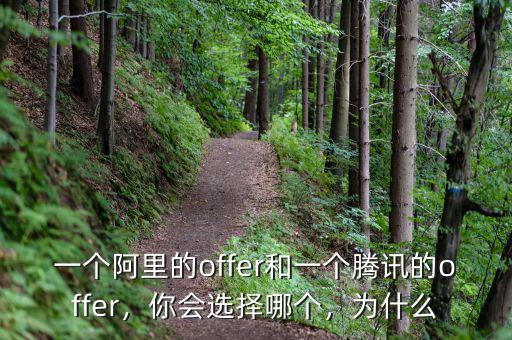 一個(gè)阿里的offer和一個(gè)騰訊的offer，你會(huì)選擇哪個(gè)，為什么