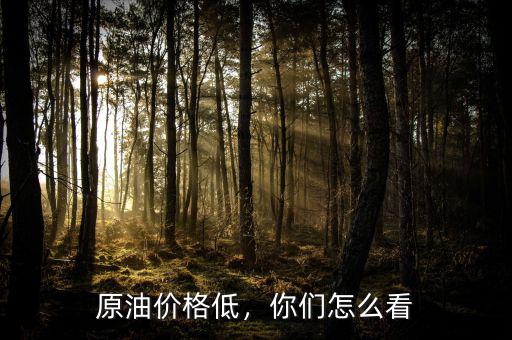 原油價(jià)格低，你們?cè)趺纯? class=