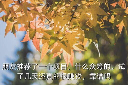 朋友推薦了一個項(xiàng)目，什么眾籌的，試了幾天還真的很賺錢，靠譜嗎