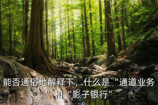 能否通俗地解釋下，什么是“通道業(yè)務(wù)”和“影子銀行”