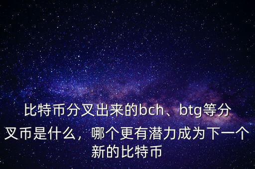 比特幣分叉出來的bch、btg等分叉幣是什么，哪個更有潛力成為下一個新的比特幣