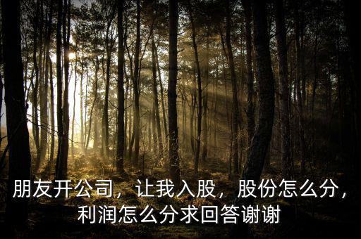 朋友開公司，讓我入股，股份怎么分，利潤怎么分求回答謝謝