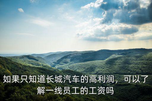 如果只知道長城汽車的高利潤，可以了解一線員工的工資嗎