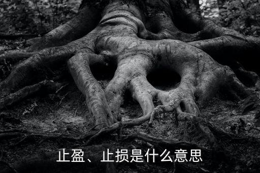 止盈、止損是什么意思