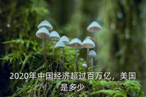2020年中國經(jīng)濟(jì)超過百萬億，美國是多少