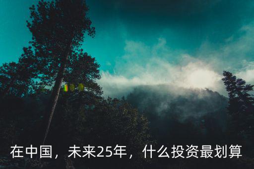 在中國，未來25年，什么投資最劃算