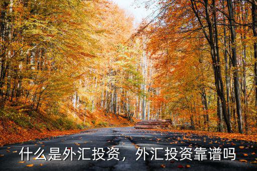 什么是外匯投資，外匯投資靠譜嗎