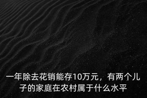 一年除去花銷(xiāo)能存10萬(wàn)元，有兩個(gè)兒子的家庭在農(nóng)村屬于什么水平