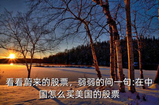 看看蔚來的股票，弱弱的問一句:在中國怎么買美國的股票