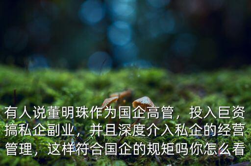 有人說董明珠作為國企高管，投入巨資搞私企副業(yè)，并且深度介入私企的經(jīng)營管理，這樣符合國企的規(guī)矩嗎你怎么看