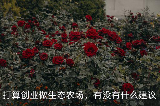 打算創(chuàng)業(yè)做生態(tài)農(nóng)場(chǎng)，有沒(méi)有什么建議