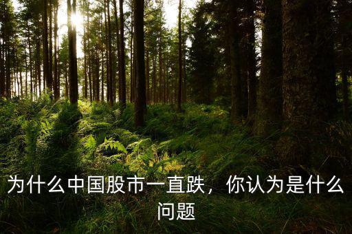 為什么中國股市一直跌，你認(rèn)為是什么問題