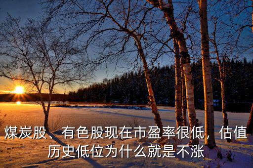 煤炭股、有色股現(xiàn)在市盈率很低，估值歷史低位為什么就是不漲