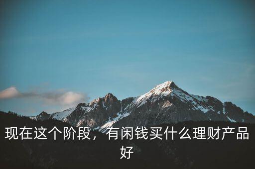 現(xiàn)在這個階段，有閑錢買什么理財產(chǎn)品好