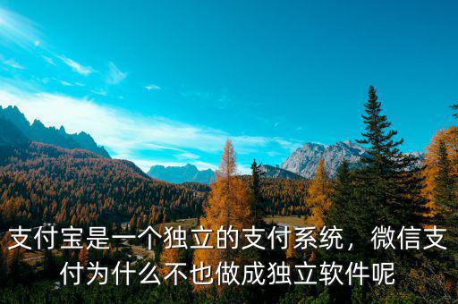 支付寶是一個(gè)獨(dú)立的支付系統(tǒng)，微信支付為什么不也做成獨(dú)立軟件呢