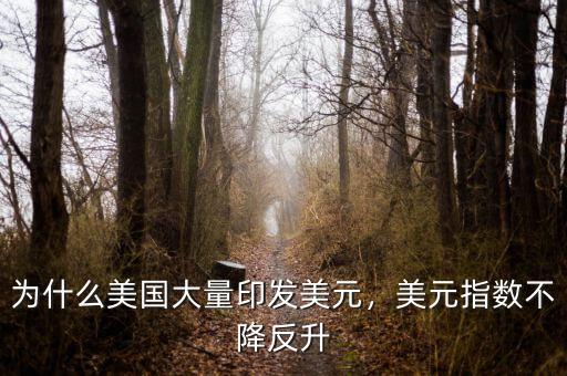 為什么美國大量印發(fā)美元，美元指數(shù)不降反升