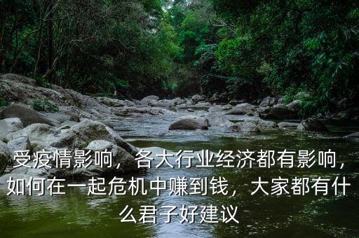 受疫情影響，各大行業(yè)經(jīng)濟(jì)都有影響，如何在一起危機(jī)中賺到錢，大家都有什么君子好建議