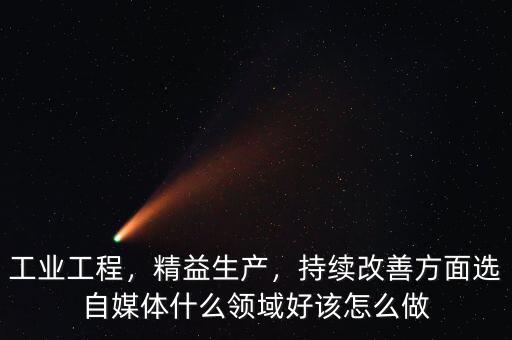 工業(yè)工程，精益生產(chǎn)，持續(xù)改善方面選自媒體什么領(lǐng)域好該怎么做