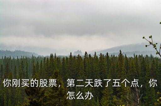 你剛買的股票，第二天跌了五個(gè)點(diǎn)，你怎么辦