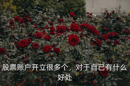 股票賬戶開立很多個(gè)，對于自己有什么好處