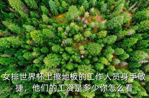 女排世界杯上擦地板的工作人員身手敏捷，他們的工資是多少你怎么看