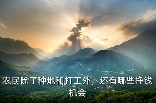 農(nóng)民除了種地和打工外，還有哪些掙錢(qián)機(jī)會(huì)