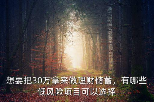 有什么理財項(xiàng)目,有哪些低風(fēng)險項(xiàng)目可以選擇