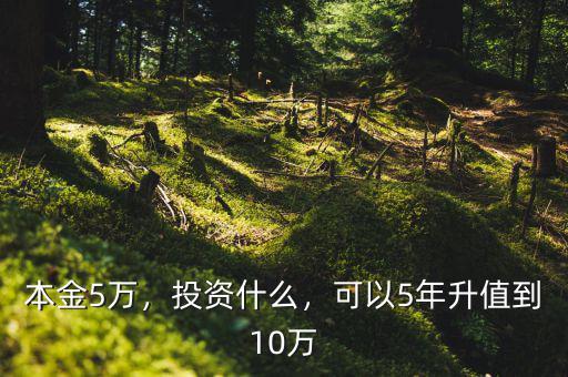 本金5萬，投資什么，可以5年升值到10萬