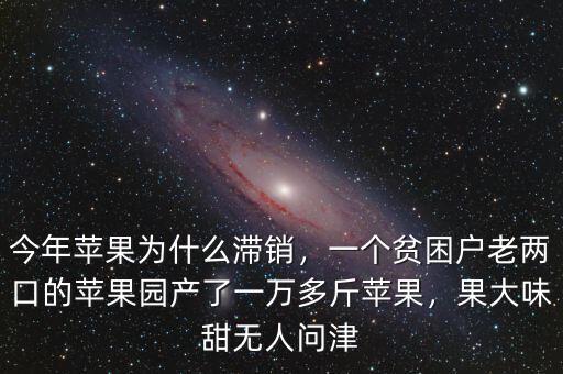 今年蘋果為什么滯銷，一個(gè)貧困戶老兩口的蘋果園產(chǎn)了一萬(wàn)多斤蘋果，果大味甜無(wú)人問津