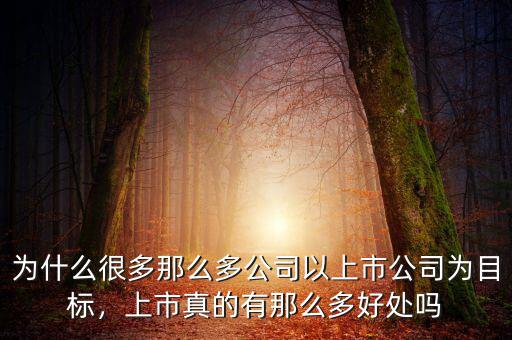 為什么很多那么多公司以上市公司為目標(biāo)，上市真的有那么多好處嗎