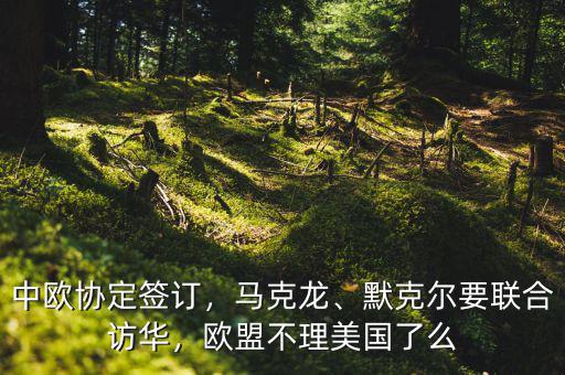 中歐協(xié)定簽訂，馬克龍、默克爾要聯(lián)合訪華，歐盟不理美國了么