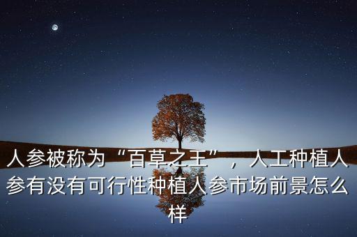 人參被稱為“百草之王”，人工種植人參有沒有可行性種植人參市場前景怎么樣