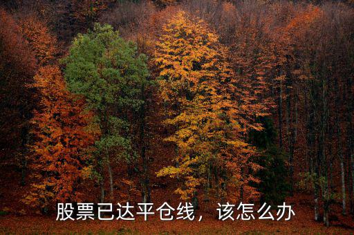 股票已達(dá)平倉(cāng)線，該怎么辦