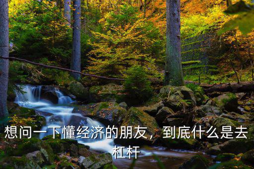 想問一下懂經(jīng)濟(jì)的朋友，到底什么是去杠桿