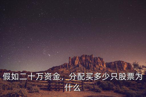 假如二十萬資金，分配買多少只股票為什么