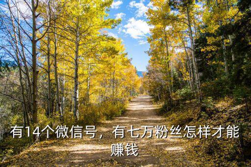 有14個(gè)微信號(hào)，有七萬(wàn)粉絲怎樣才能賺錢(qián)