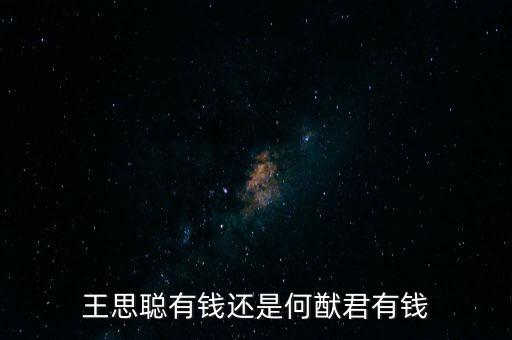 王思聰家產多少,如果你擁有王思聰的家產