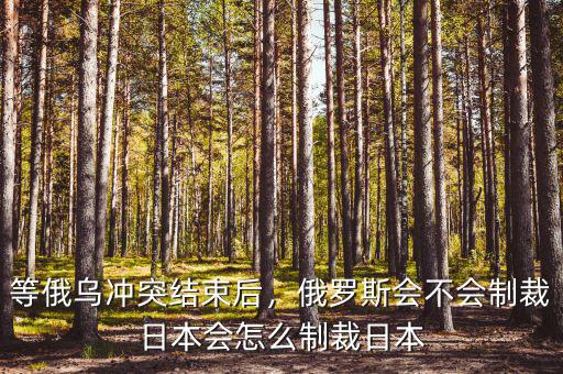 等俄烏沖突結(jié)束后，俄羅斯會不會制裁日本會怎么制裁日本