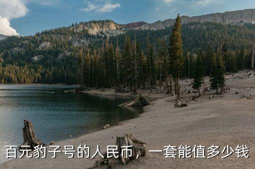 百元豹子號(hào)的人民幣，一套能值多少錢