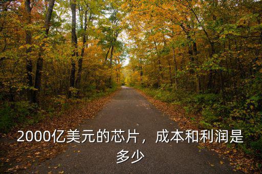2000億美元的芯片，成本和利潤(rùn)是多少