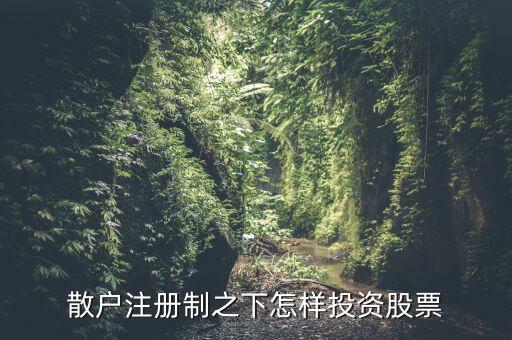什么股票注冊(cè)制,散戶(hù)注冊(cè)制之下怎樣投資股票