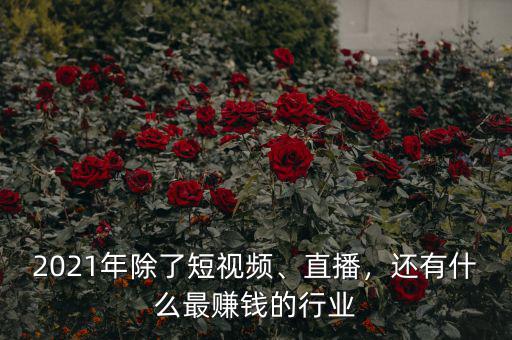 2021年除了短視頻、直播，還有什么最賺錢的行業(yè)