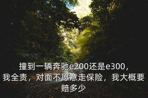 撞到一輛奔馳e200還是e300，我全責(zé)，對面不愿意走保險，我大概要賠多少