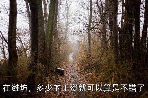 在濰坊，多少的工資就可以算是不錯了