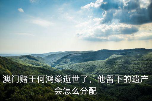 澳門賭王何鴻燊逝世了，他留下的遺產會怎么分配