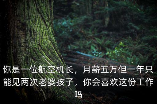 你是一位航空機(jī)長，月薪五萬但一年只能見兩次老婆孩子，你會喜歡這份工作嗎