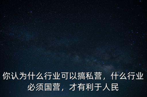 你認(rèn)為什么行業(yè)可以搞私營，什么行業(yè)必須國營，才有利于人民