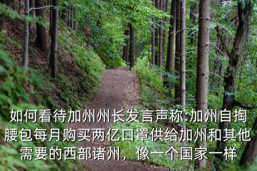 如何看待加州州長(zhǎng)發(fā)言聲稱:加州自掏腰包每月購(gòu)買(mǎi)兩億口罩供給加州和其他需要的西部諸州，像一個(gè)國(guó)家一樣