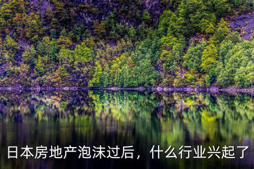 日本房地產(chǎn)泡沫過后，什么行業(yè)興起了